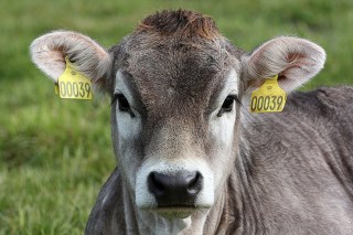 3609752721_eba47f8f85