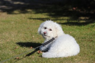 testbilder-beat-neu-019